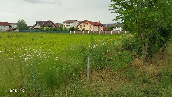 Inchiriere Teren Popesti Leordeni Str Laurentiu Raicu