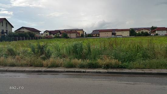 Inchiriere Teren Popesti Leordeni Str Laurentiu Raicu