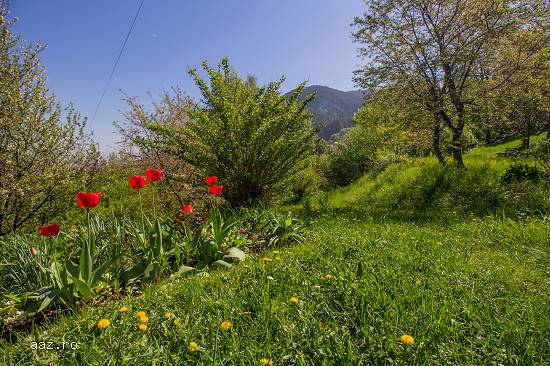 Imobil,   pozitie panoramica,  conditii speciale,   Brasov-Central
