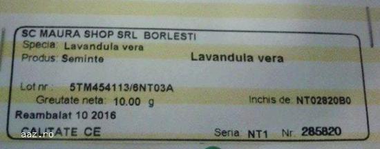 Vand seminte lavanda angustifolia True (Vera)-PROMOTIE