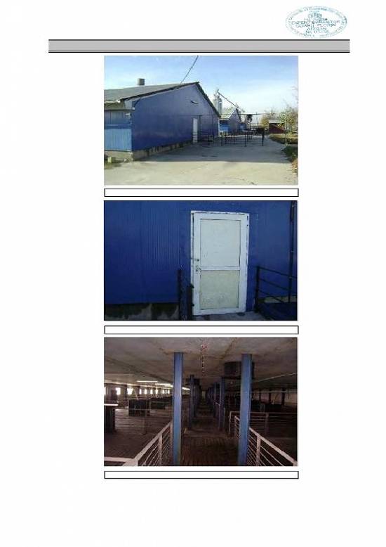 Ferma de porci – Stefanesti –Arges Constructie 2007