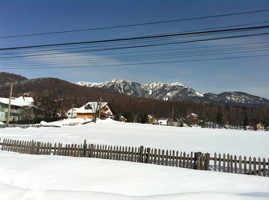 Teren Cheia – Maneciu – centru – 625 mp