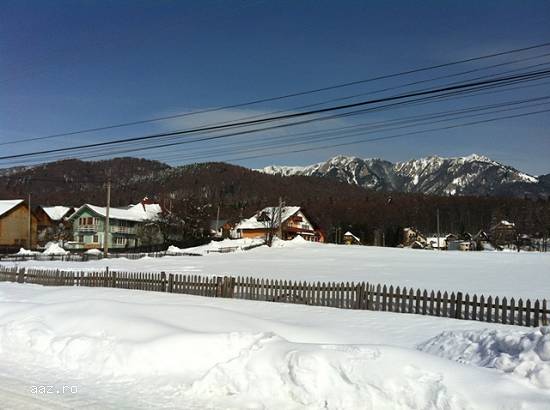 Teren Cheia – Maneciu – centru – 625 mp