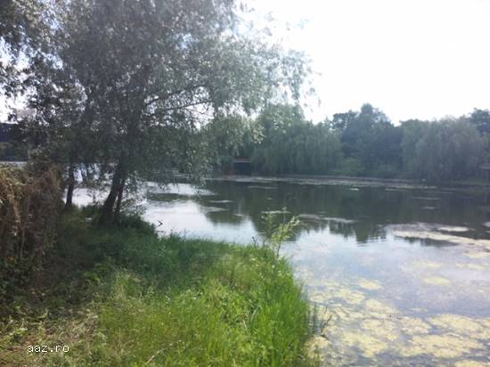 Vila/Pensiune Silistea Snagovului