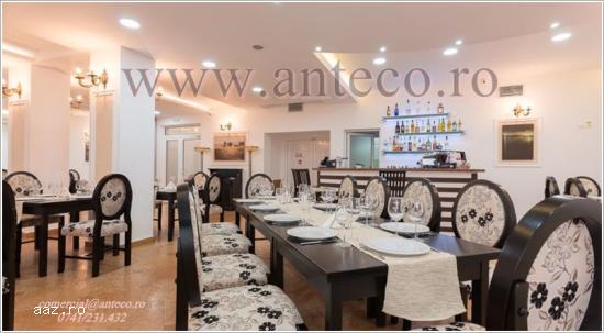 Reducere pret ! Scaun Luigi pentru restaurant sau locuinta ta
