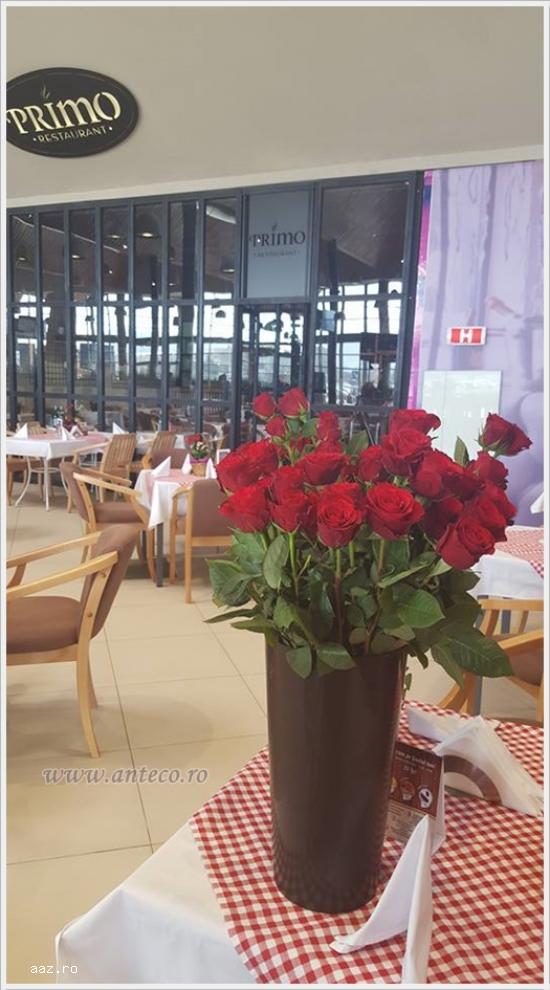 Fotolii horeca pentru cafenea , bar