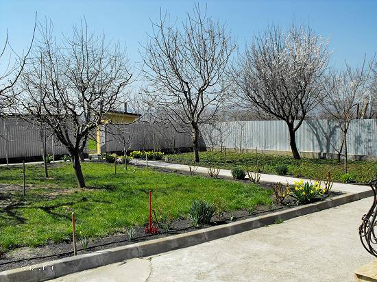 Imobil Unirea - Odobesti,                   la sosea