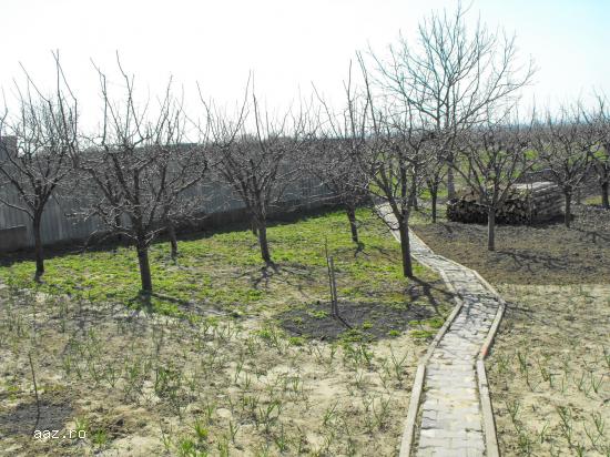 Imobil Unirea - Odobesti,                   la sosea