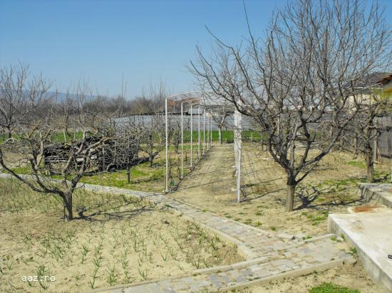Imobil Unirea - Odobesti,                   la sosea