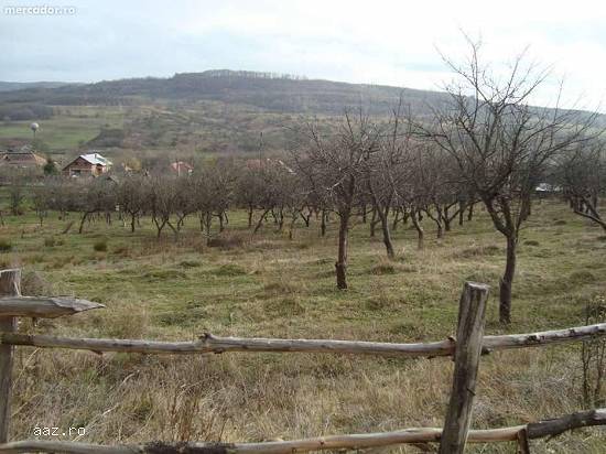 Cumpără-ma repede