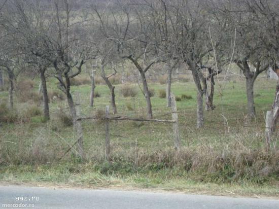 Cumpără-ma repede