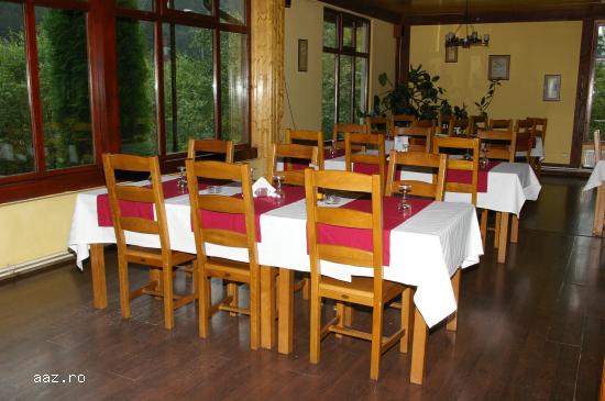 Mobilier restaurant - Scaun Rustic