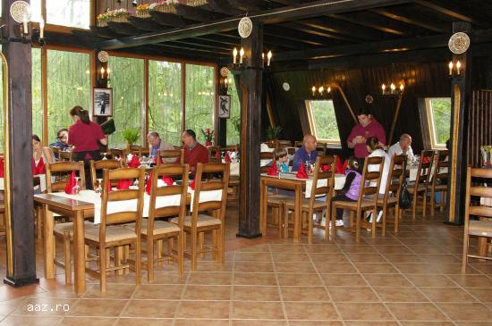 Mobilier restaurant - Scaun Rustic