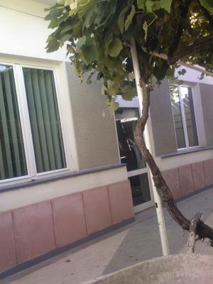 vand casa