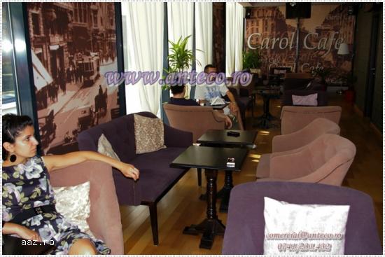 Fotolii Denis pentru bar , cafenea
