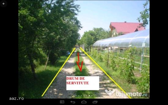 teren intravilan 791 mp Buftea