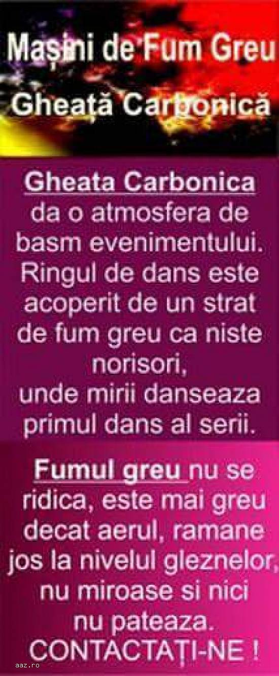 Porumbei albi Evenimente