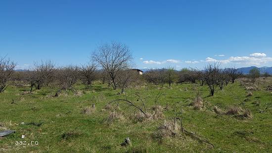 Teren de vanzare in Sanpetru -livada