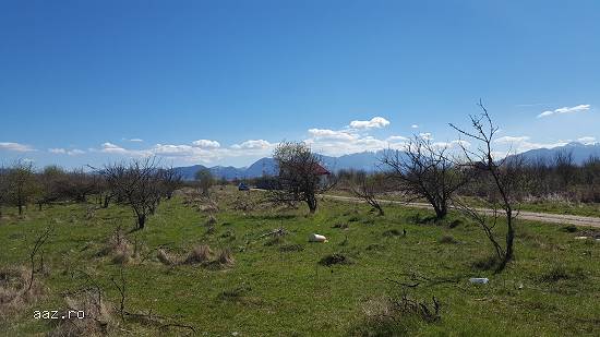 Teren de vanzare in Sanpetru -livada