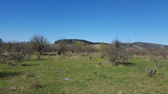 Teren de vanzare in Sanpetru -livada