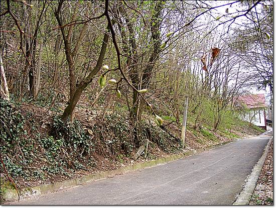 Teren intravilan zona B - Brasov.