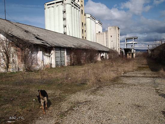 Spatiu industrial in Gherla