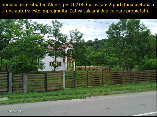 Vila cu aer castelan langa Campina