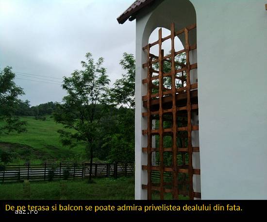 Vila cu aer castelan langa Campina