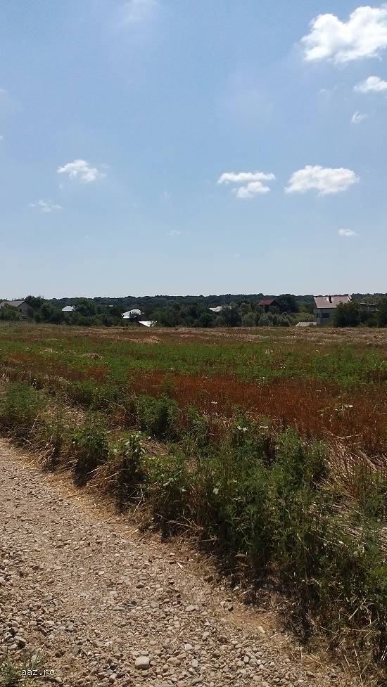 Teren intravilan 2500mp,  Peris Balteni