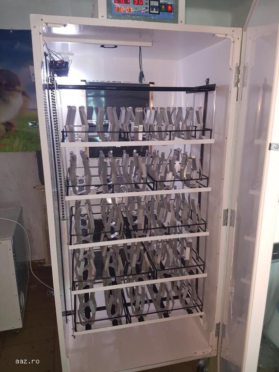 incubatoare oua 0767739200