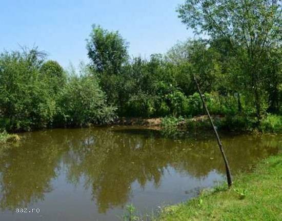 Paradis la tara,   28 km de Pitesti,   casa 5 camere,   plantatii meri/pruni,   lac,   asfalt,   gaz