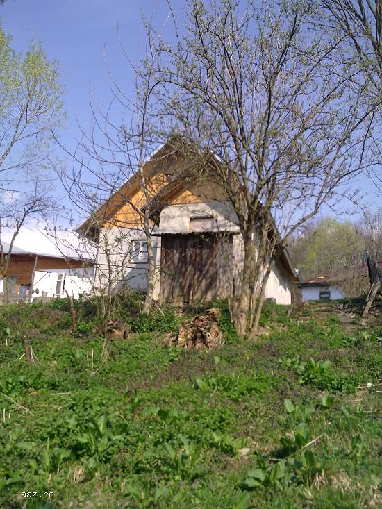 Vand casa Provita de Sus
