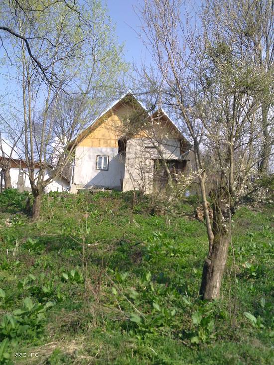 Vand casa Provita de Sus