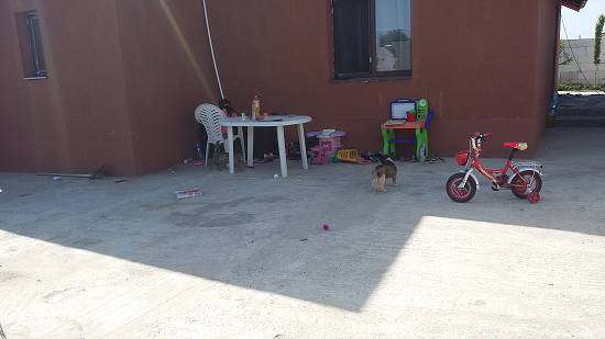 Vand casa la 3min de Dedeman Progresu