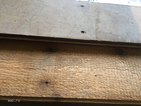 Cumpar scandura veche din demolari