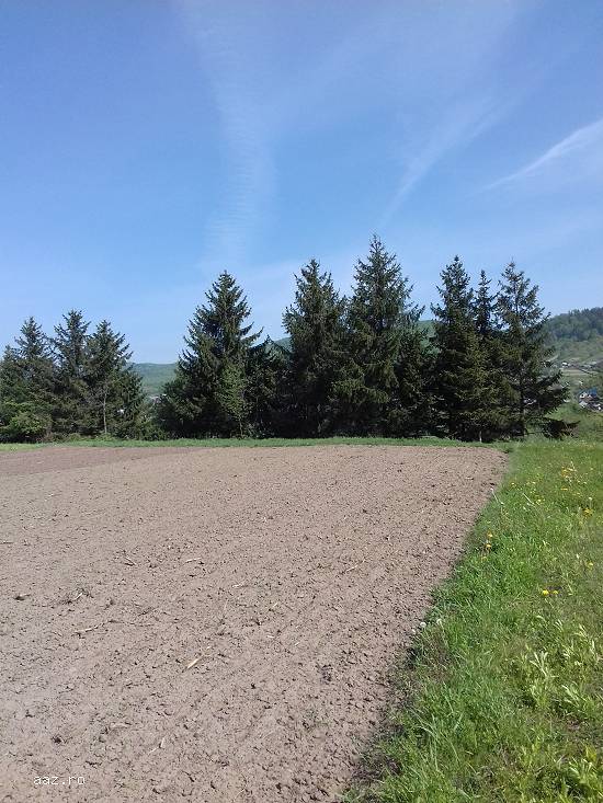 teren intravilan vanatori neamt