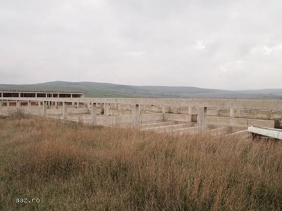 Lichidator judiciar,   vand proprietate loc. Calnic,   jud. Alba