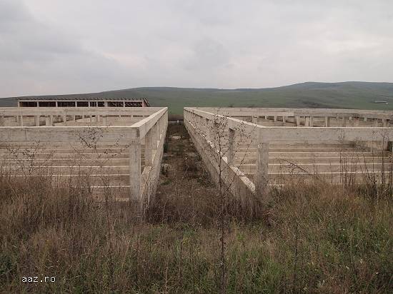 Lichidator judiciar,   vand proprietate loc. Calnic,   jud. Alba