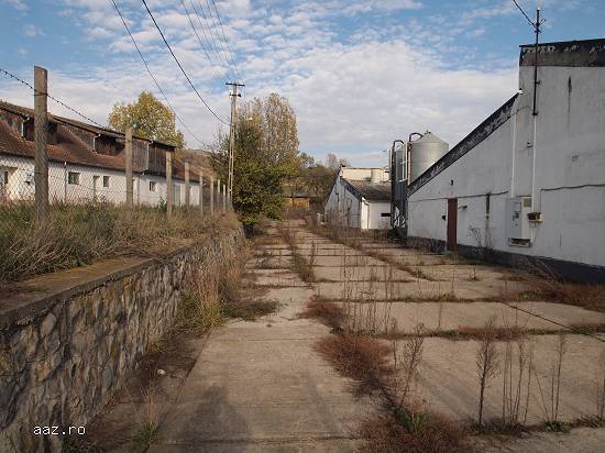Lichidator judiciar,   vand fosta ferma,   loc. Iara,   jud. Cluj