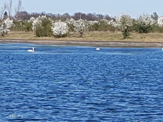MOGOSOAIA LAC - teren intravilan 3000mp