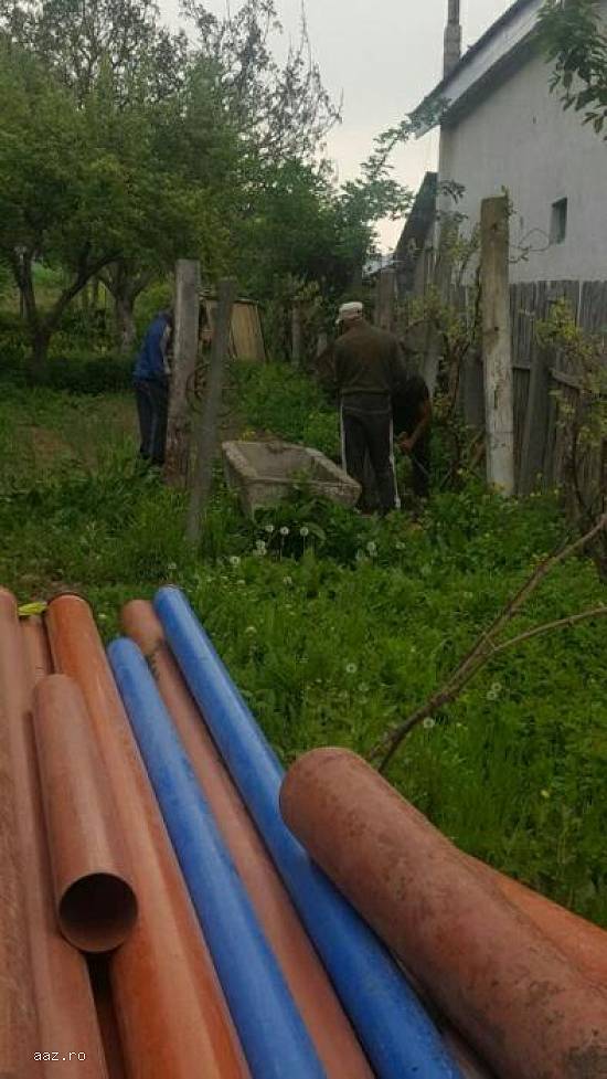 Foraje Puturi