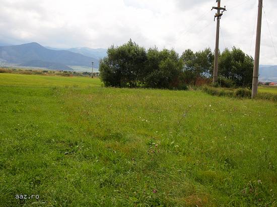 Lichidator judiciar,   vand teren in loc. Cristian,   jud. Sibiu