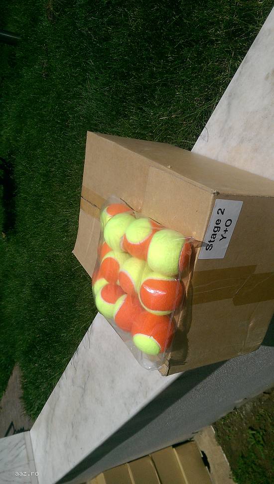 Mingi de tenis de camp