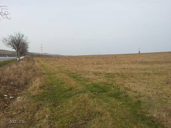 Lichidator judiciar,   vand prin licitatie publica parcele de teren situate in loc. Tureni,   jud. C