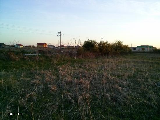 Teren intravilan de vanzare in Clinceni,     Ilfov 1.665 mp sau 3.360 mp