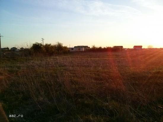 Teren intravilan de vanzare in Clinceni,     Ilfov 1.665 mp sau 3.360 mp