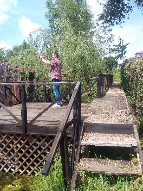 Vanzare Vila Silistea Snagovului