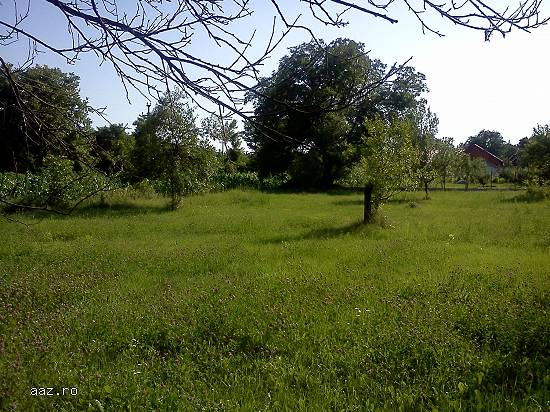 Vand teren pentru casa,   comuna Tisau,   Judetul Buzau