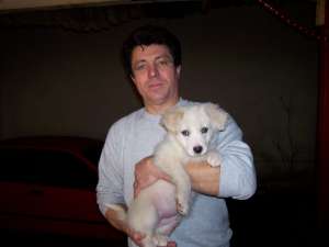 Dau spre adoptie