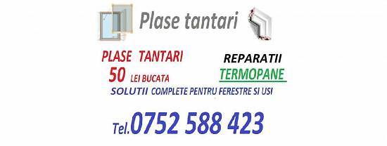 Plase tantari / Reparatii termopane